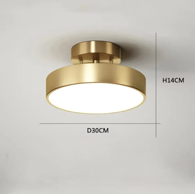 Modern copper led chandelier