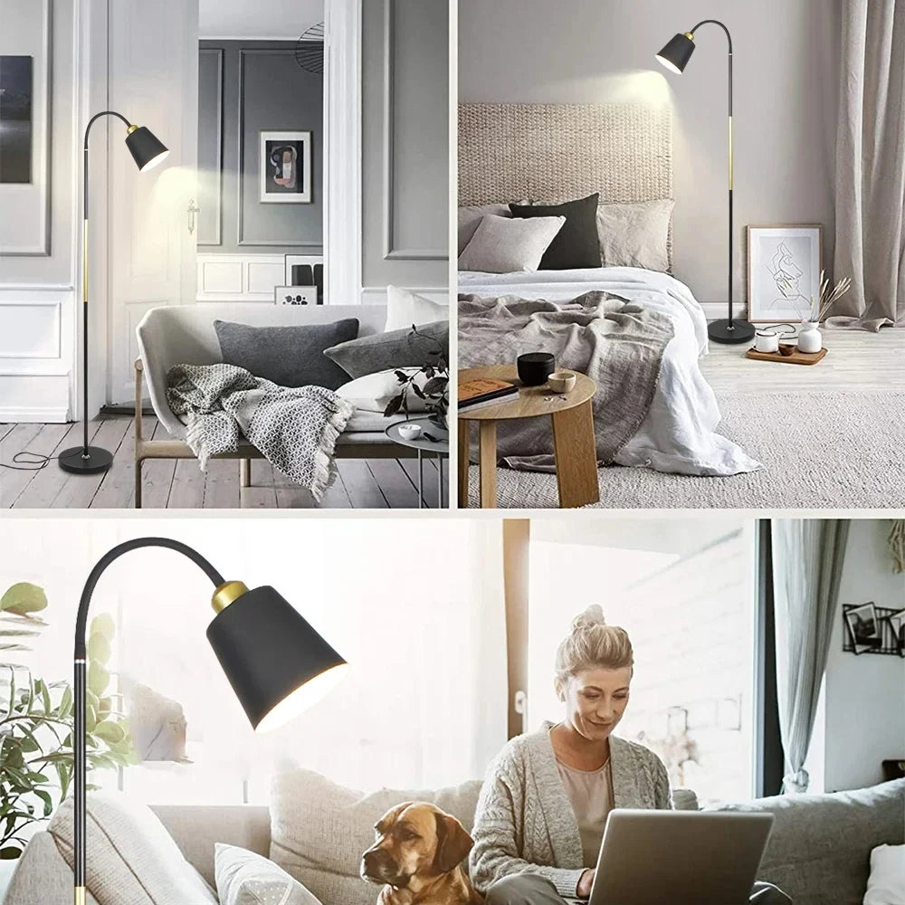 Modern curved lamp